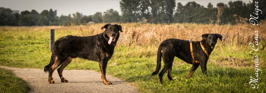 ontmoeting May en Girbaud